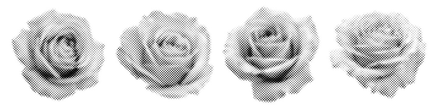 Set of roses in halftone style. Monochrome dotted flower illustrations with vintage comic effect