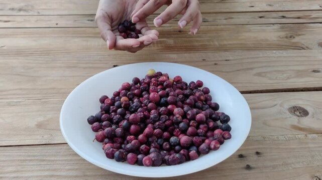 Hands carefully selecting and separating fresh falsa berries on wood table