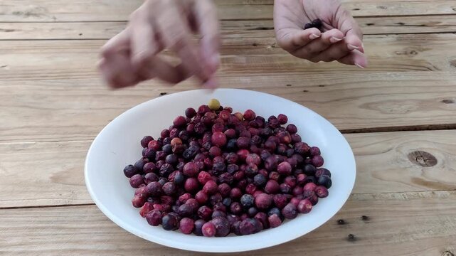 Person sorting fresh falsa berries by hand from white plate on table