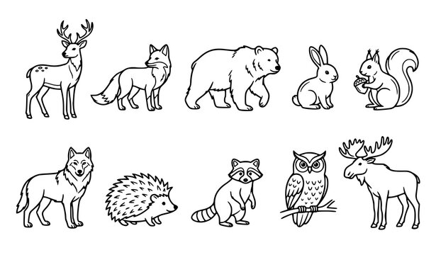 Hand drawn forest animal outline collection featuring woodland wildlife in clean line art style vector illustration set