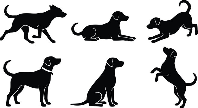Airport Security and Protection Line Icon Set Featuring Customs Officers Safes Passport and Surveillance Symbols