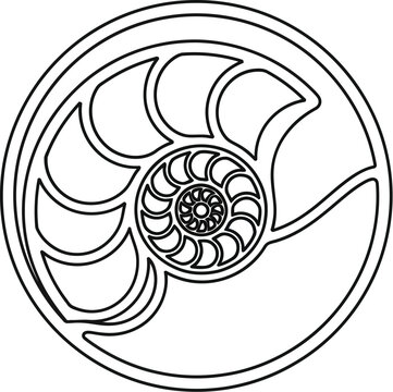 Geometric nautilus shell pattern forms a circular outline for a graphic representation.