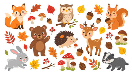 Obraz premium Woodland Learning Animal Graphics for Preschool Education, Nature Study and Printable Teaching Resources