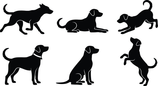 Labrador Retriever Dog Silhouette Set Featuring Various Poses Running Sitting Lying and Playing Graphic Elements