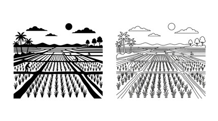 Rice paddy landscape illustration black and white line drawing on white background © Fariaislam