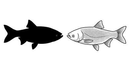 Fish Silhouette And Detailed Illustration Black And White © Fariaislam