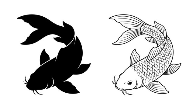 Two Koi Fish Silhouettes And Line Art On White Background