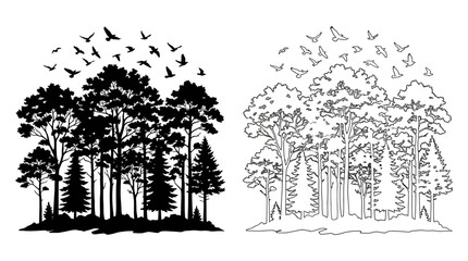 Forest Silhouette With Flying Birds Black And White Illustration © Fariaislam