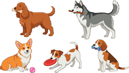 Dog breeds vector collection set featuring playful pets with toys including husky corgi beagle retriever and terrier holding bones and frisbee isolated on white background © Jasmin