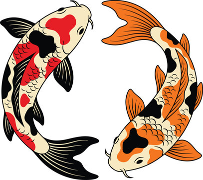 Traditional Japanese koi fish vector illustration featuring two colorful carp swimming in a circular yin yang harmony balance concept isolated on white background