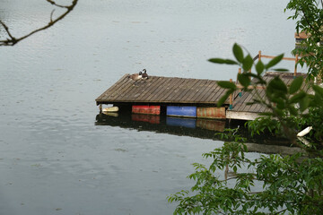 Chalets flottants de l'étang de la Galiotte à Carrière sous Poissy © luzulee