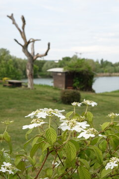 Chalets flottants de l'&eacute;tang de la Galiotte &agrave; Carri&egrave;re sous Poissy