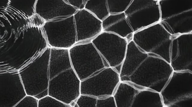 Abstract Neural Network Pattern with Glowing White Cellular Lines on Dark Background ideal for Scientific Presentations or Futuristic Motion Graphics.