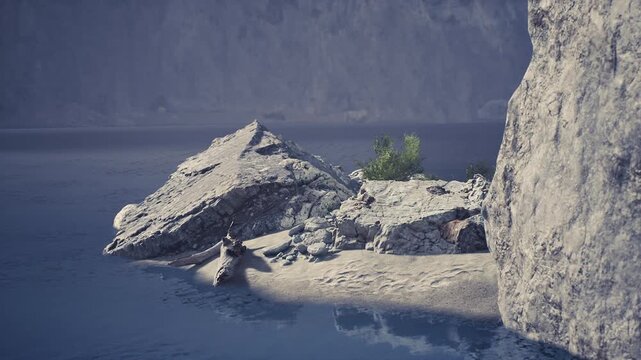 A tranquil rocky shore showcases large boulders and a small patch of greenery growing amidst the stones. The calm water reflects the serene environment, creating a peaceful atmosphere.