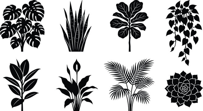 Silhouette Collection of Popular Indoor Houseplants Including Monstera, Snake Plant, Palm, and Succulent