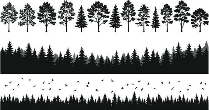 Set of black tree silhouettes including individual deciduous and coniferous trees plus seamless forest borders and flying bird flocks