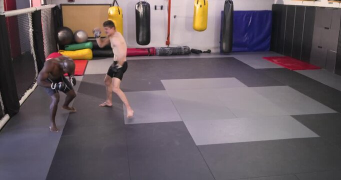 Diverse male fighters faking punches and kicking on mat before executing takedown