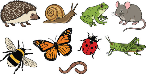 Fototapeta premium Cute Backyard Wildlife and Small Garden Animals Vector Collection Featuring Hedgehog Snail Frog Mouse Bee Butterfly Ladybug Grasshopper and Earthworm Cartoon Illustrations