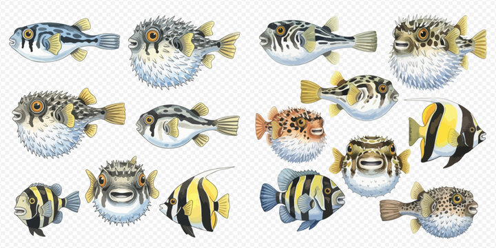 Collection of various colorful tropical fish, including pufferfish and angelfish, isolated on a white background.