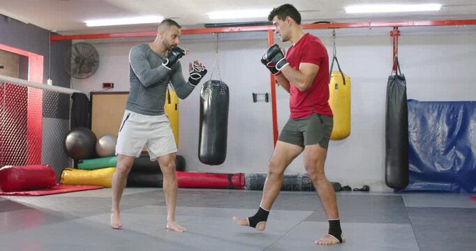 Diverse male training duo reacting to feinted jab practicing footwork on gym mat to probe distance