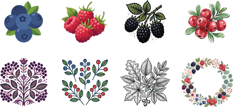 Berry Botanical Vector Collection Featuring Blueberries Raspberries Blackberries Cranberries and Decorative Leafy Wreaths