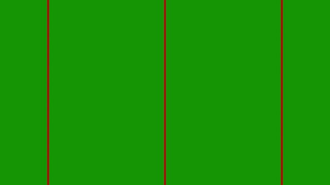 Minimalist Vertical Line Transition Pack | Clean 2D Multi Panel Grid Border Reveal Motion Graphics Animation