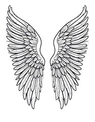 Fototapeta premium A pair of symmetrical white wings outlined in black
