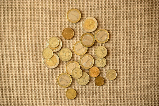 Bulgarian Lev Coins Scattered on Burlap Background