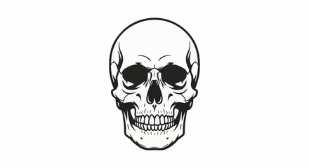 Obraz premium A detailed graphic illustration of a human skull viewed from the front