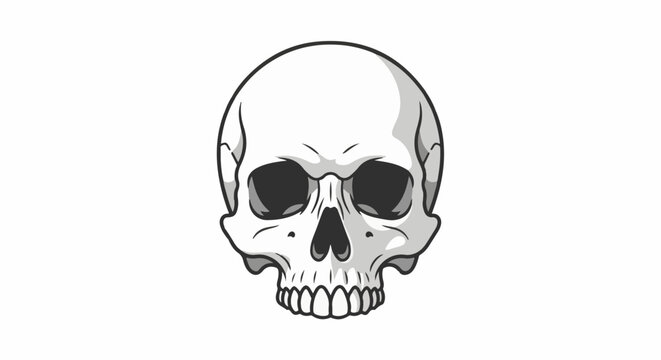 A monochromatic illustration of a human skull facing forward, with detailed bone structure and shaded eye sockets