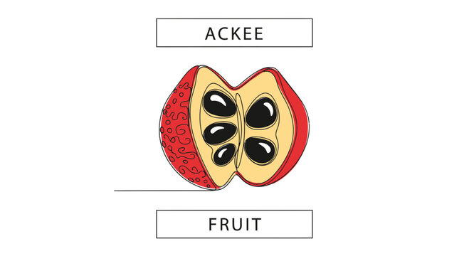 Ackee Fruit Cut Open Showing Seeds and Arils, Jamaican National Fruit