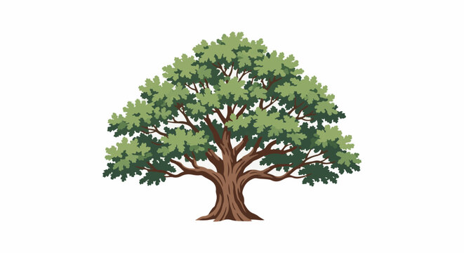 A large, mature tree with a broad canopy of green leaves and a sturdy trunk