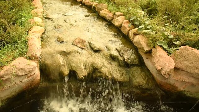 A stream of water flowing in a dense forest.
