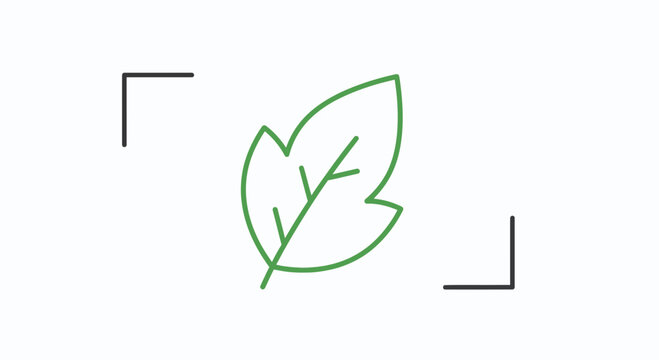 Green Leaf Icon with Corner Brackets, Nature and Ecology Symbol