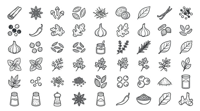 Collection of hand-drawn icons representing various spices, herbs, and seasonings used in cooking and culinary arts.