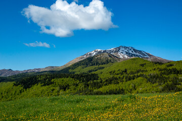 Obraz premium frignano regional natural Park Modena Apennines Monte Cimone and nature reserve