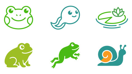 Fototapeta premium Collection of cute green frog and snail animal icons with amphibian illustration creature wildlife collection