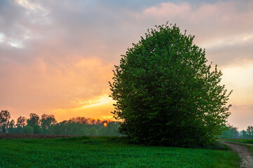 Obraz premium A landscape shot showing a stunning sunset over Belgian farmlands. Flamish Ardennes, east-flanders.