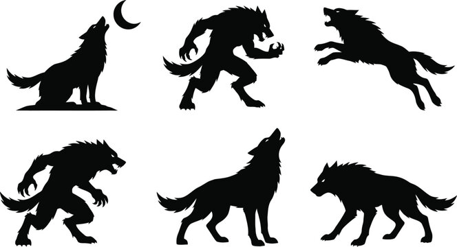 Black wolves and wild dogs pack silhouettes