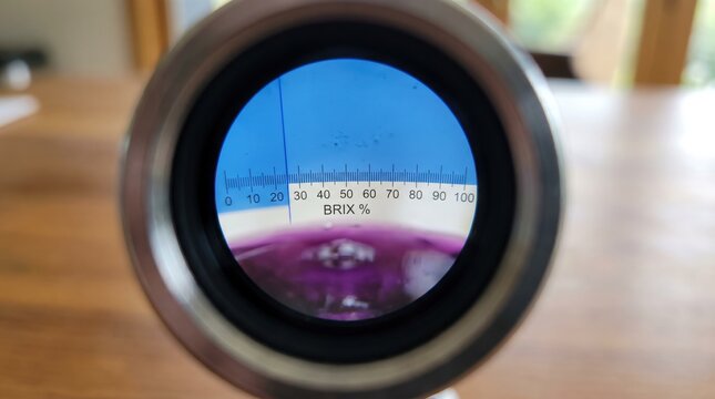 Brix scale view through refractometer measuring grape juice