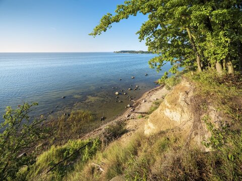 Cliff coast with oak forest near Putbus, view of the Baltic Sea, R&uuml;gen island, Mecklenburg-Western Pomerania, Germany