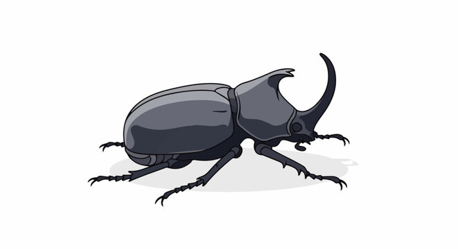 A dark, gray rhinoceros beetle with a large curved horn, shown from the side, with a shadow