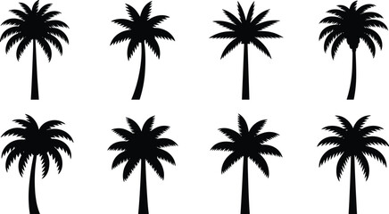 Obraz premium Palm Tree Silhouettes Collection tropical white
