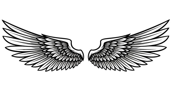 Detailed Hand Drawn Angel Wings Illustration.