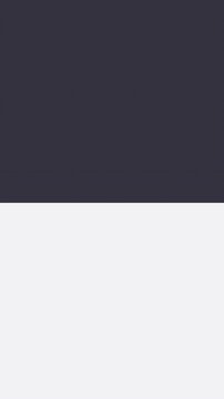 Minimalist vertical split screen background template with dark grey and white halves