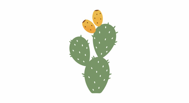 Minimalist green prickly pear cactus with two orange fruits on white background