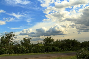 Naklejka premium A road with trees and clouds