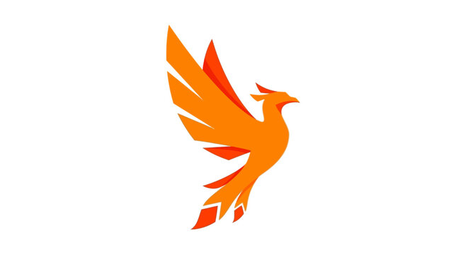 A vibrant orange bird illustration with outstretched wings on a clean white background