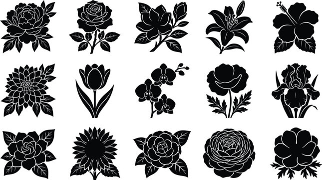 Black and white of decorative floral ornaments, seamless patterns, borders floral seamless pattern