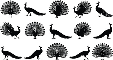 Black and white of hedgehogs and cacti in various poses cactus spiky cute © Graphic Shops